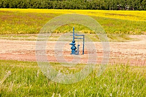 Natural gas wellhead Alberta Canada grassland photo