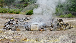 Geyser in Furnas town, Sao Miguel island, Azores, Portugal