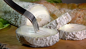 Natural goat cheese with gray mold is pricked with a fork