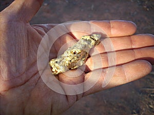 Gold nugget in prospectors hand. photo