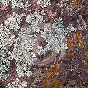 Natural granite stone texture background. Rough and rusty. Close-up