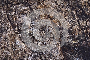 Natural granitic rock texture. Close up detail.