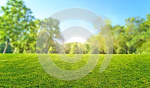 natural grass field background with blurred bokeh and sun rays