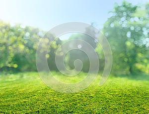 natural grass field background with blurred bokeh and sun rays