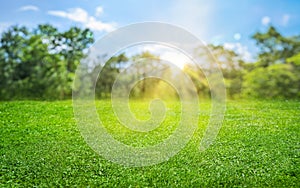 natural grass field background with blurred bokeh and sun rays