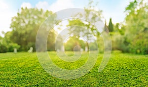 natural grass field background with blurred bokeh and sun rays