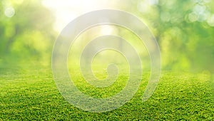 natural grass field background with blurred bokeh and trees in park