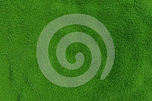 Natural grass texture pattern background. Top view grassy lawn for environmental backdrop. 3d rendering.