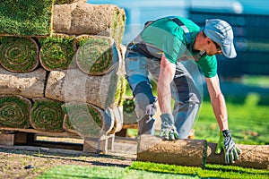 Natural Grass Turf Installer