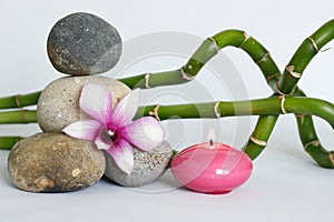 Natural gray pebbles arranged in Zen lifestyle with a two-tone orchid, on the right side of the twisted bamboos and a lighted cand