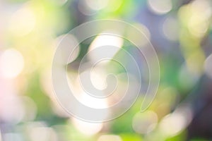 Natural green blured background