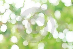 Natural green bokeh abstract background,blurred textured