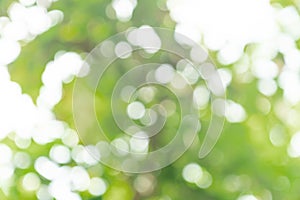 Natural green bokeh abstract background,blurred textured