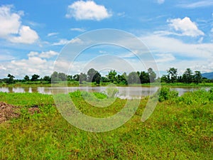 Natural green field and river landscape in Thailand