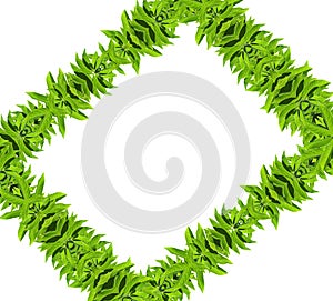 Natural green leaf frame