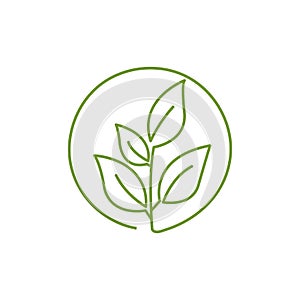 Natural green leaf logo design vector on white background
