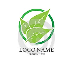 Natural green leaf logo. With an illustration logo design in a modern style. A logo for health and care