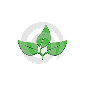 Natural green leaf logo. With an illustration logo design in a modern style. A logo for health and care