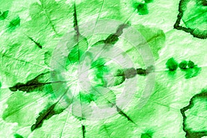 Natural Green Leafy Liquid Color Design. Spring