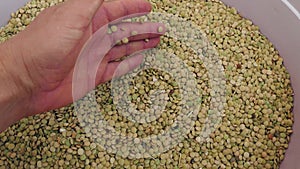 Natural green lentils, unsorted garbage and stony lentils