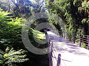 Natural green Linear park in the state of Nicosia In Cyprus