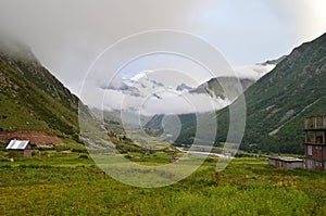 Natural Green Scenery background in Himachal Pradesh, India