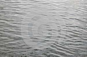 Natural grey background with ripples.