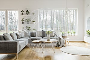 Natural grey living room interior