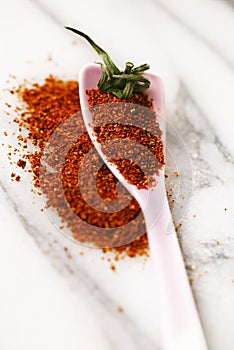 Natural ground sun dried tomatoes powder