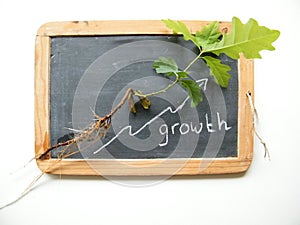 Natural Growth development process schoolboard