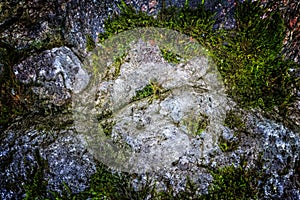 Natural hard rock or stone texture surface as background