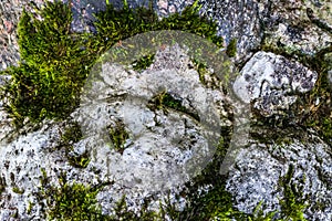 Natural hard rock or stone texture surface as background