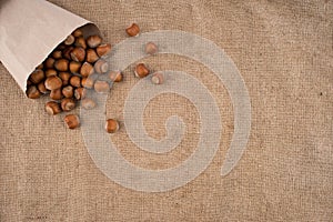Natural hazelnuts on the background of old sacking.