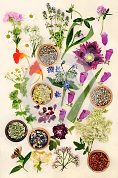 Natural Healing Herbs for Alternative Medicine
