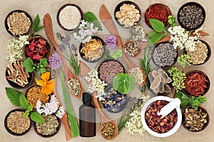 Natural Healing Herbs and Flowers