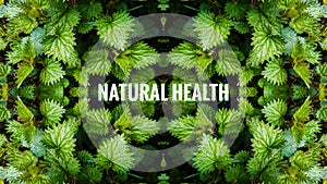 Natural Health Page Header