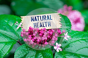 Natural health in wooden card photo