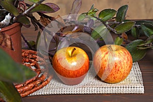 Natural and healthy tropical fruit apple in the bowl on the table on blurred texture background