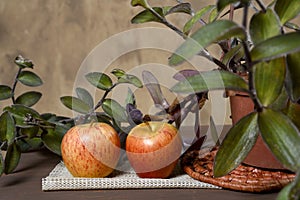Natural and healthy tropical fruit apple on the table on blurred texture background photo