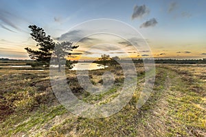 Natural heathland landscape near Hijken