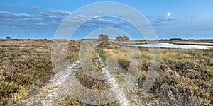 Natural heathland landscape near Hijken