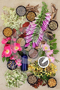 Natural Herb and Flower Collection
