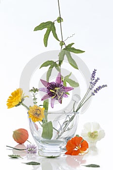 Natural herb and flower selection for herbal medicine