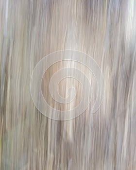 Natural herbal abstract striped blur