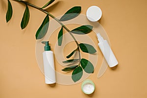 Natural herbal creams in bottles and jars with green leaves on a beige background. The concept of a natural organic cosmetic