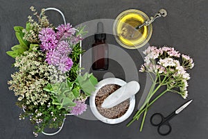 Natural Herbal Medicine Preparation photo