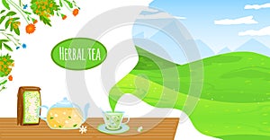 Natural herbal tea vector illustration, cartoon flat glass teapot kettle, package and teacup with chamomile herb flowers