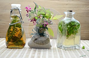 Natural herbal tinctures medicine