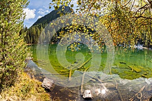 A natural hiden mountain lake among the woods in the Italian Alpss