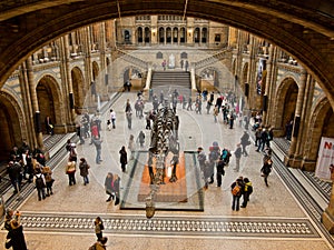 Natural History Museum